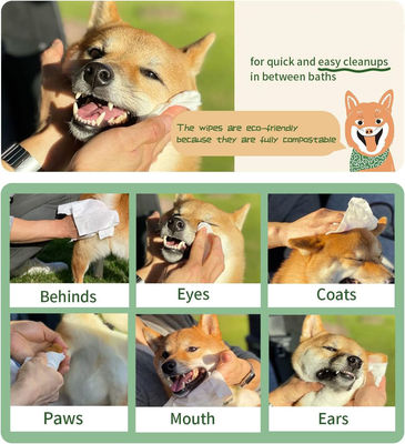 Toallitas húmedas biodegradables naturales de etiqueta privada para mascotas para un aseo suave y ecológico