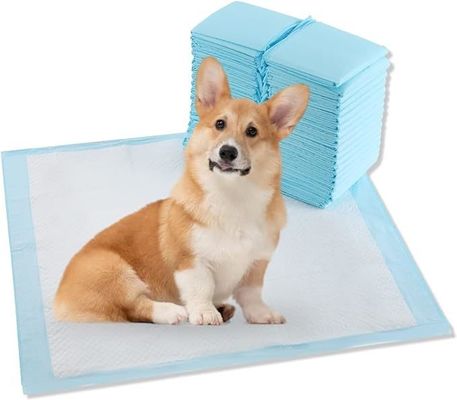 Pads extra grandes desechables para perros de 56x56cm para entrenamiento de baño de temporada diaria