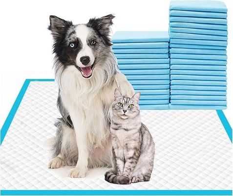 Pads de entrenamiento desechables para mascotas de 56x56cm Pads de orina para perros grandes para cachorros y animales
