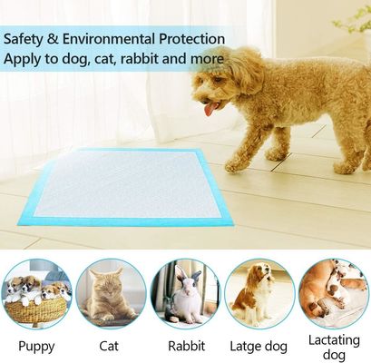 Pads de entrenamiento desechables para mascotas de 56x56cm Pads de orina para perros grandes para cachorros y animales