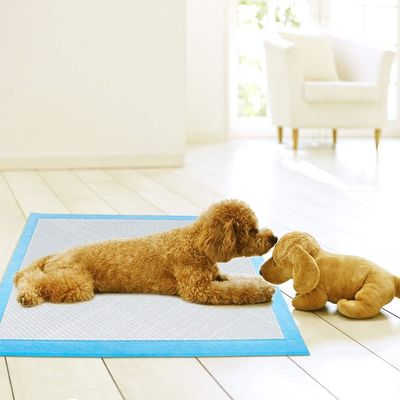 Pad de entrenamiento desechable para mascotas para el entrenamiento de orina de cachorros