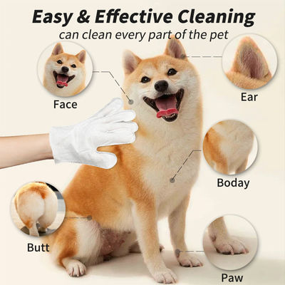 Logotipo personalizado aceptable 6PCS Pack guantes de limpieza para mascotas para aseo de PET toallitas húmedas
