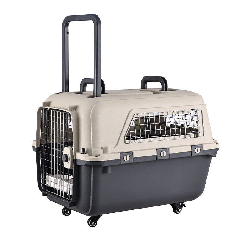 Caja de transporte de mascotas para viajes sostenibles