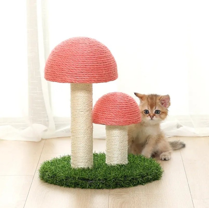 Juguetes interactivos para el entrenamiento del gatito