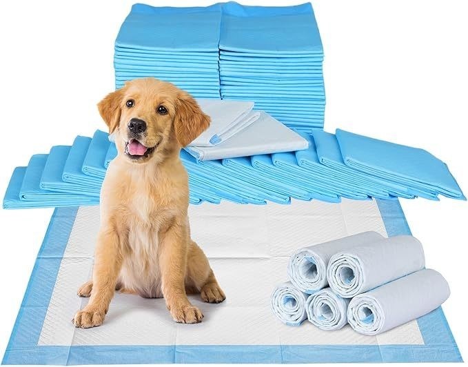 En el exterior, el entrenamiento de perros con una alfombra de piso desechable, un pañal para perros con materiales sostenibles.